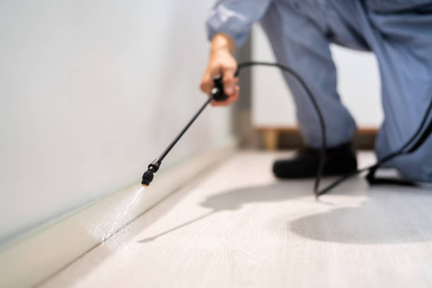 Professional exterminator conducting IPM assessment in Clintwood